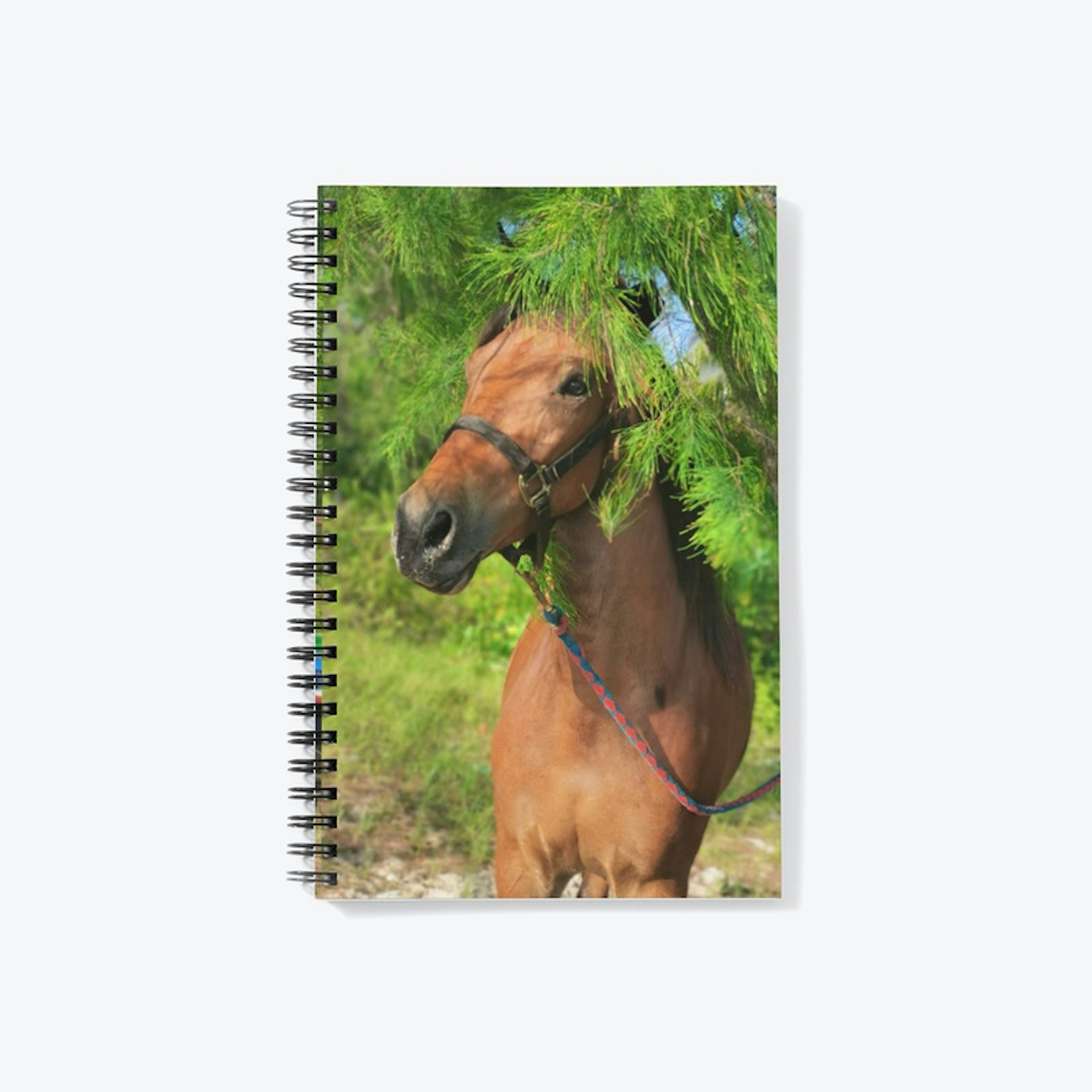 Varsha's Notebook