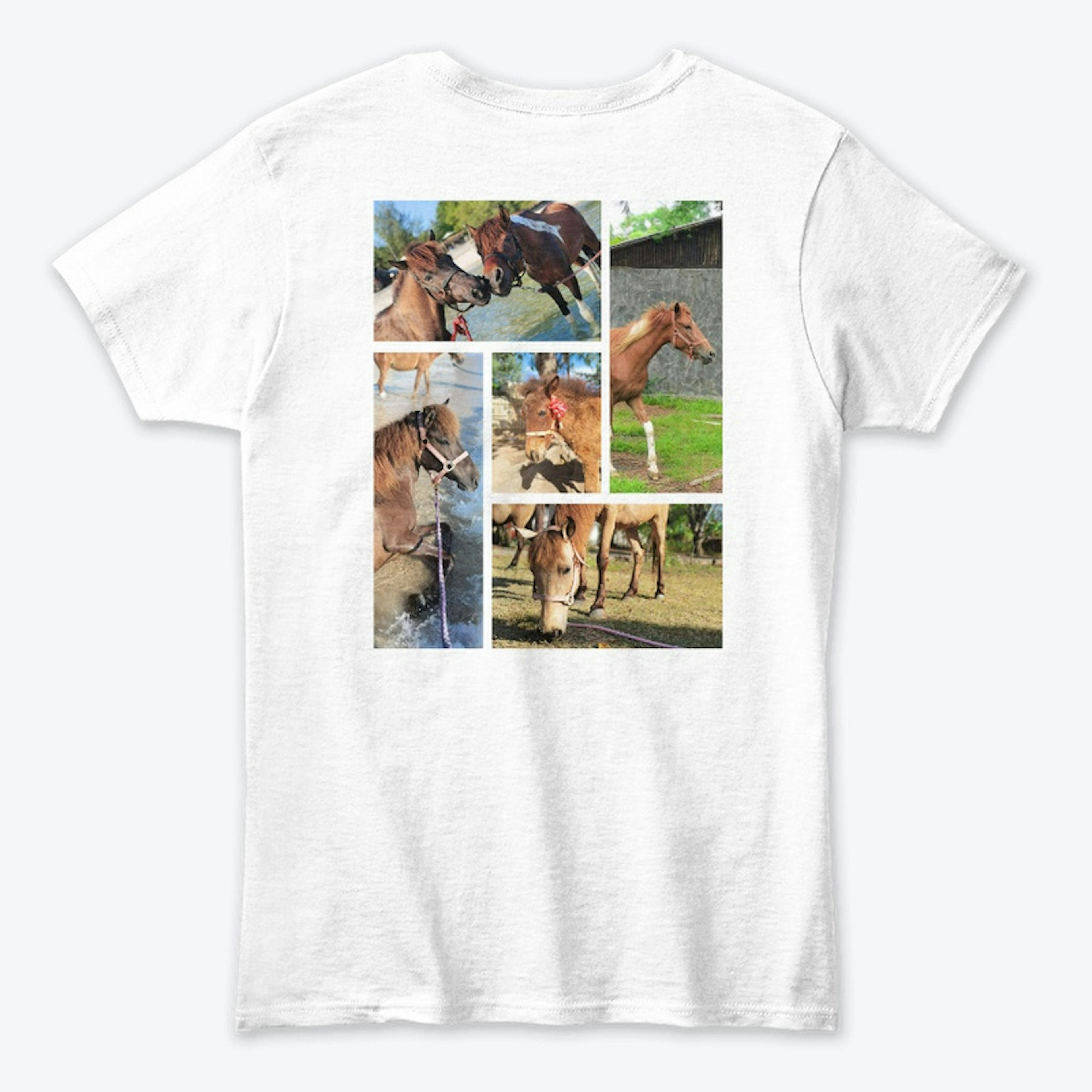 Horses of Gili T shirt