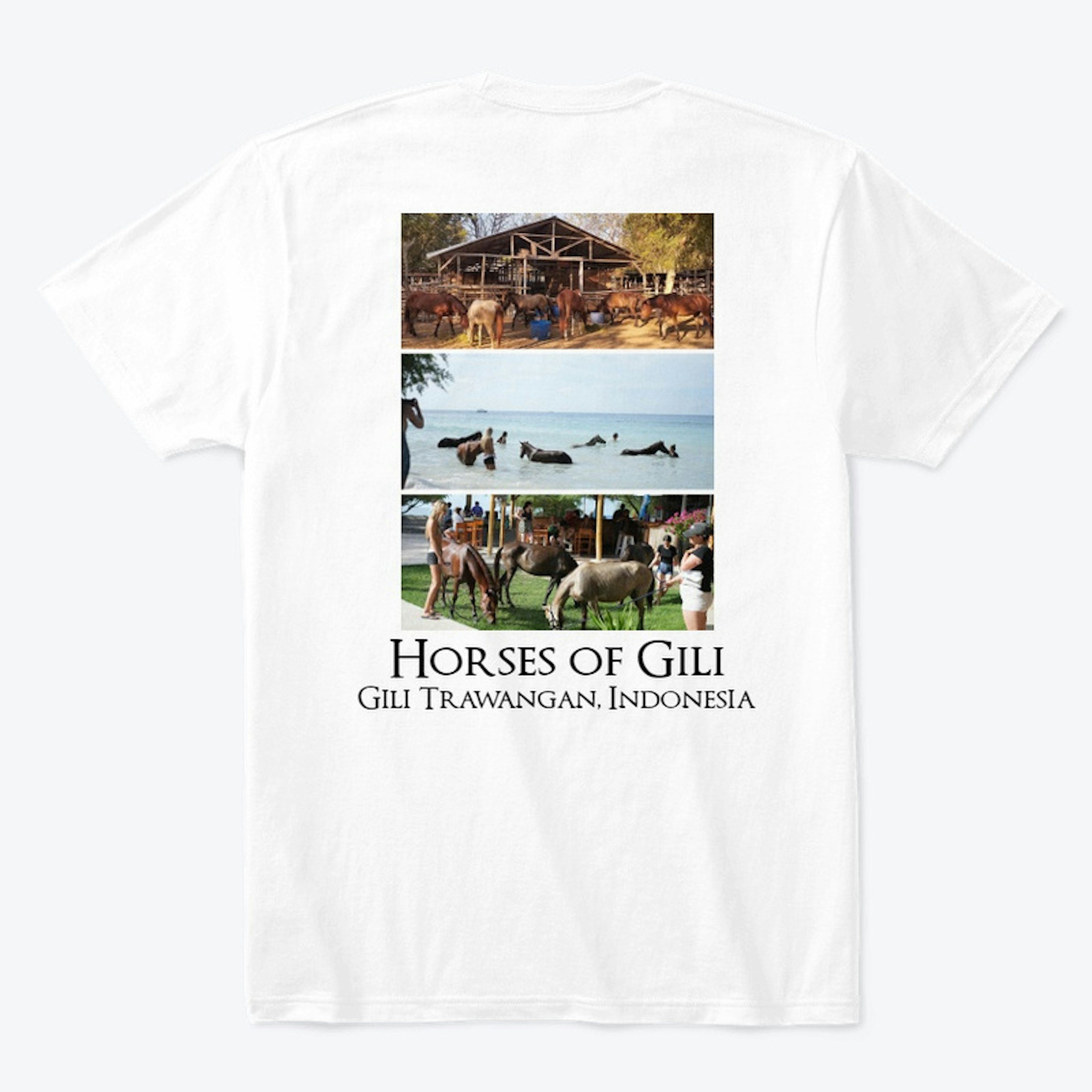 Horses of Gili T shirt