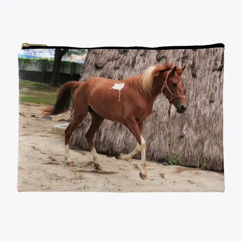 Horses of Gili pouch